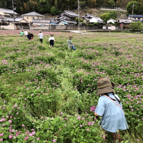 親子でのんびり♪～原の自然にふれてみよう！～