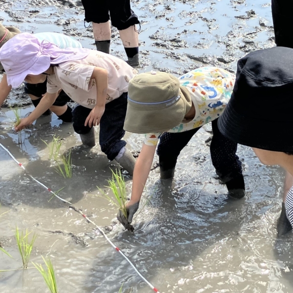 みんなで田植え