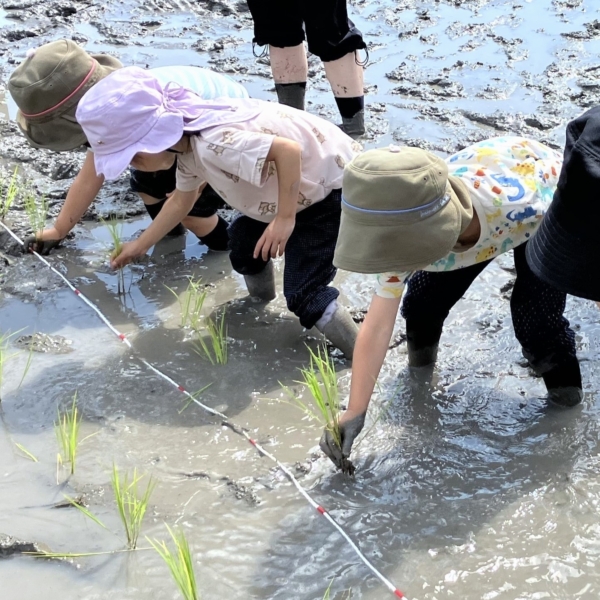 【自家用車利用】みんなで田植え