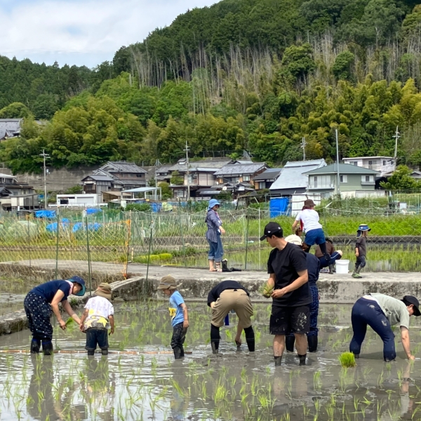 【園バス利用】みんなで田植え