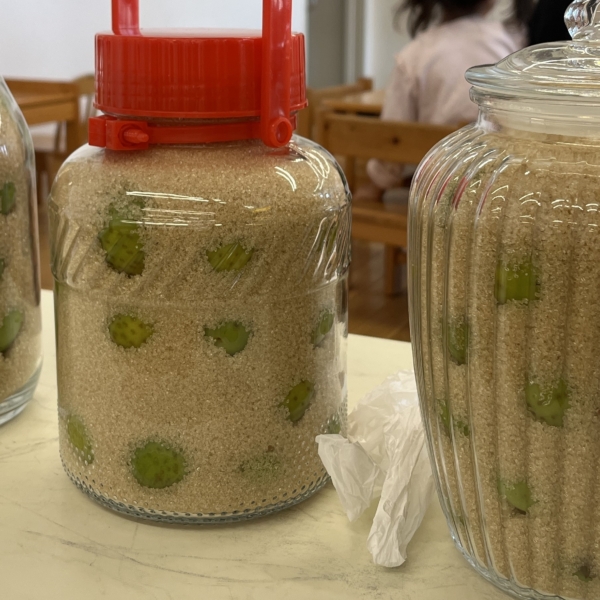 季節を味わう手しごと～「梅シロップ」づくり～